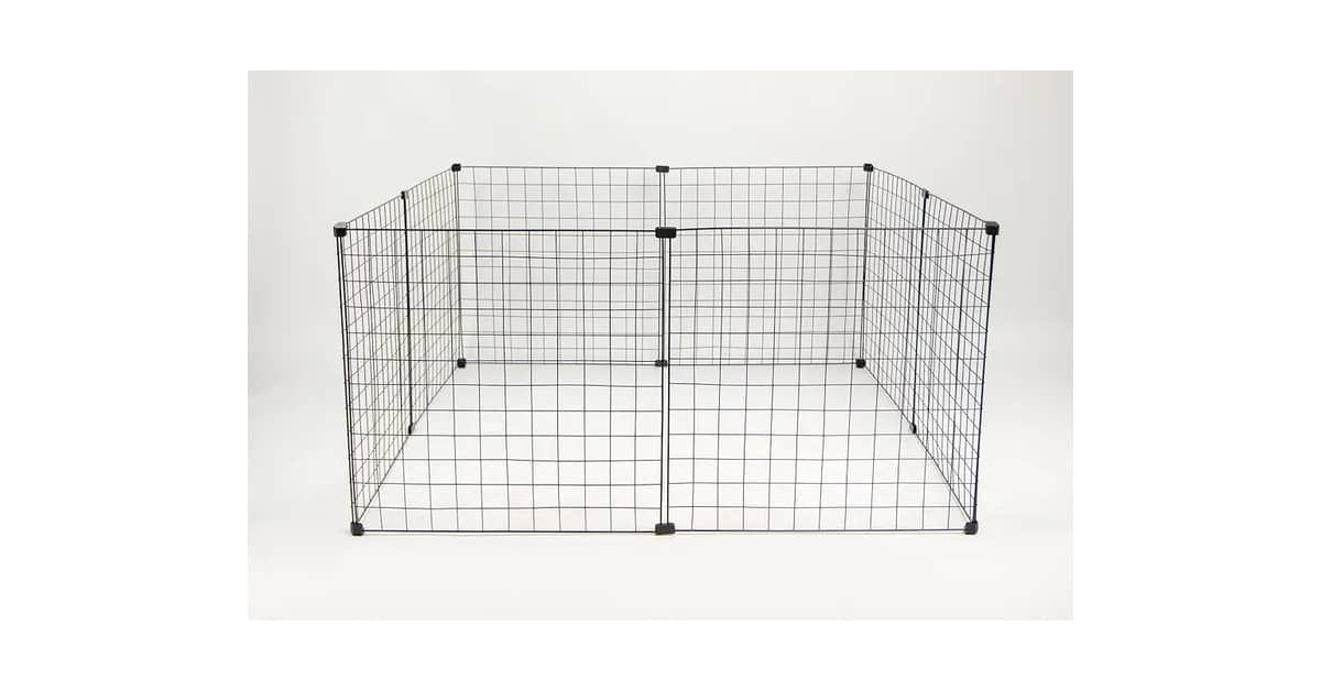 Qual Melhor Chiqueiro Para Porco: Guia Para Mini Pigs