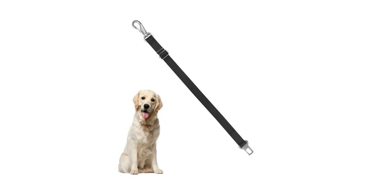 Qual Melhor Cinto de Seguranca Para Cachorro? Guia!