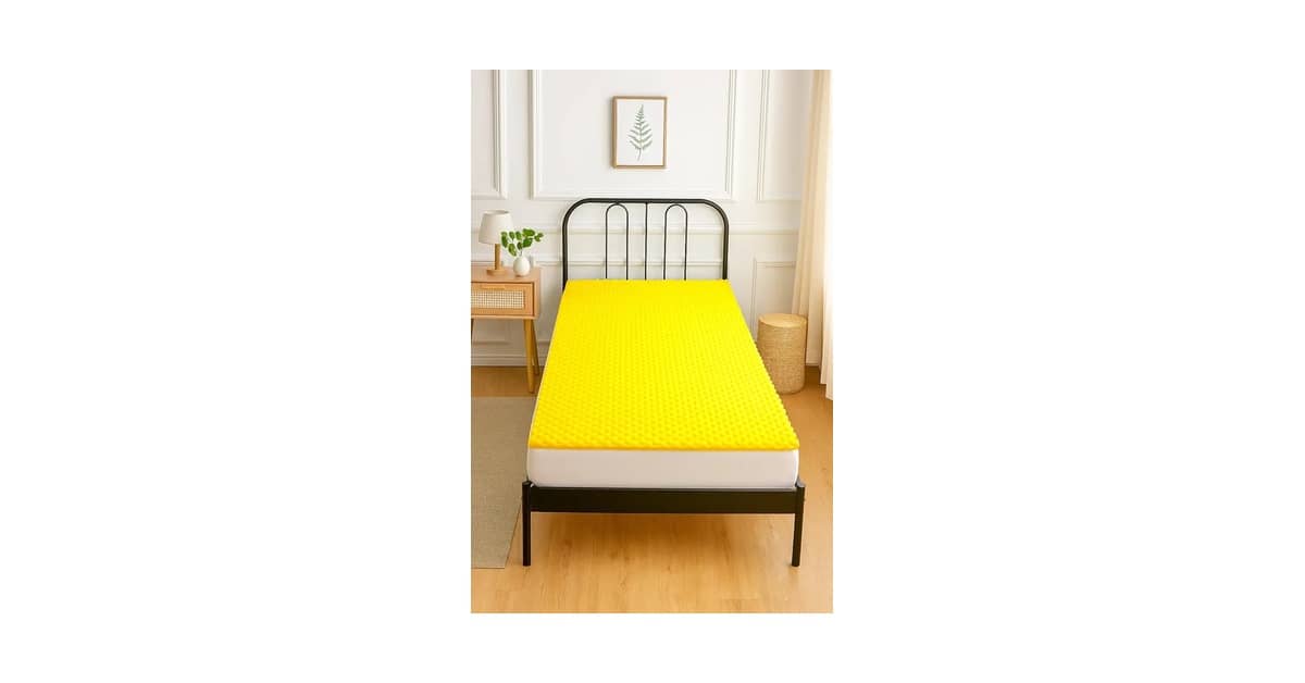 Qual Melhor Colchão Para Hérnia De Disco Lombar Para Alívio da Dor