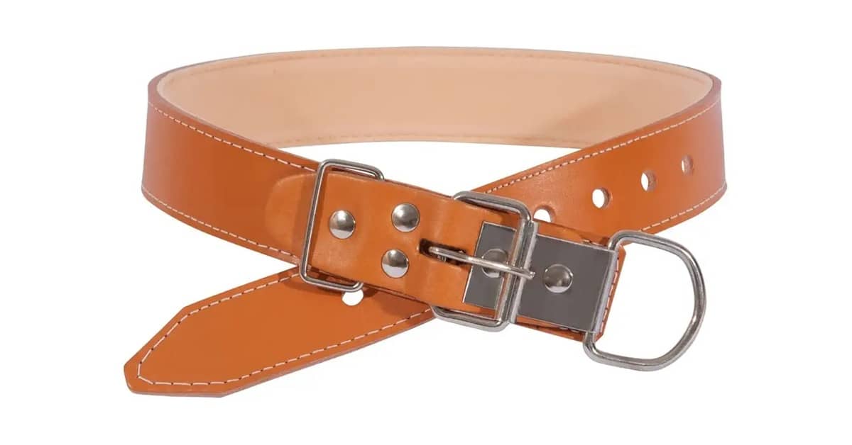 Qual Melhor Coleira de Couro Para Cachorro de Porte Grande: 4 Opções Resistentes