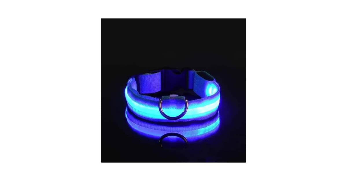 Qual Melhor Coleira Luminosa Para Passeios Noturnos? Guia Com 8 Opções