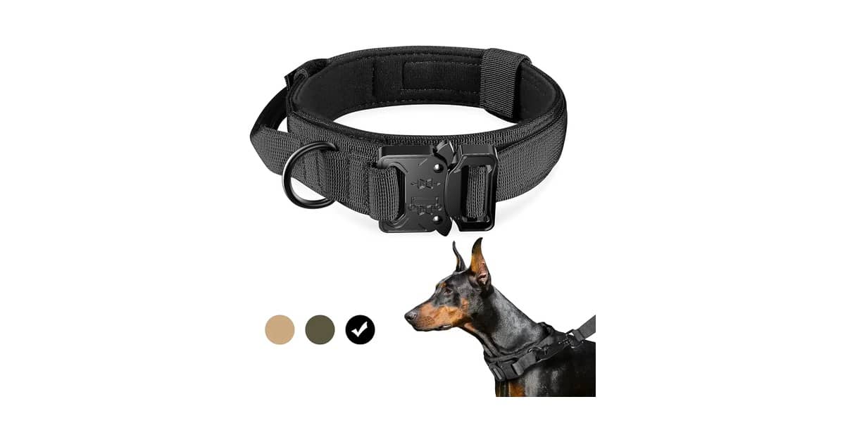 Qual Melhor Coleira Para Cachorro Com Alça de Controle