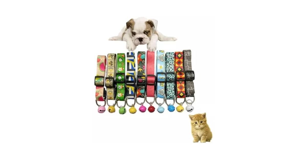 Qual Melhor Coleira para Cachorro com Estampa Divertida? 8 Opções