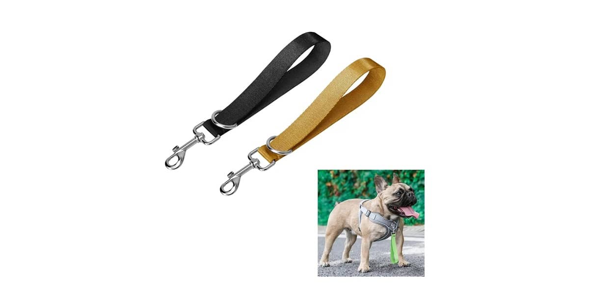 Qual Melhor Coleira Para Cachorro Com Guia Curta Para Mais Controle?