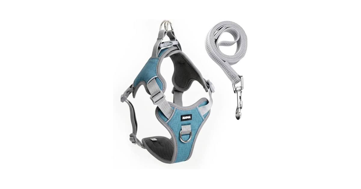 Qual Melhor Coleira Para Cachorro Com Guia e Peitoral Acolchoado? 10 Kits Analisados