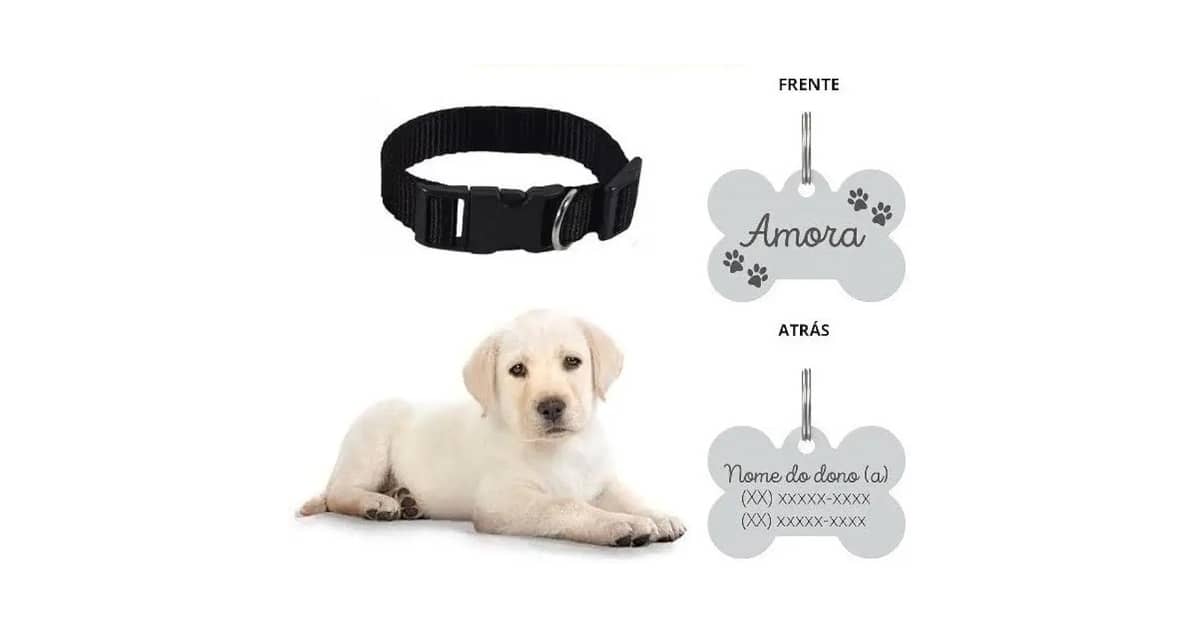 Qual Melhor Coleira Para Cachorro com Nome Bordado? 7 Opções