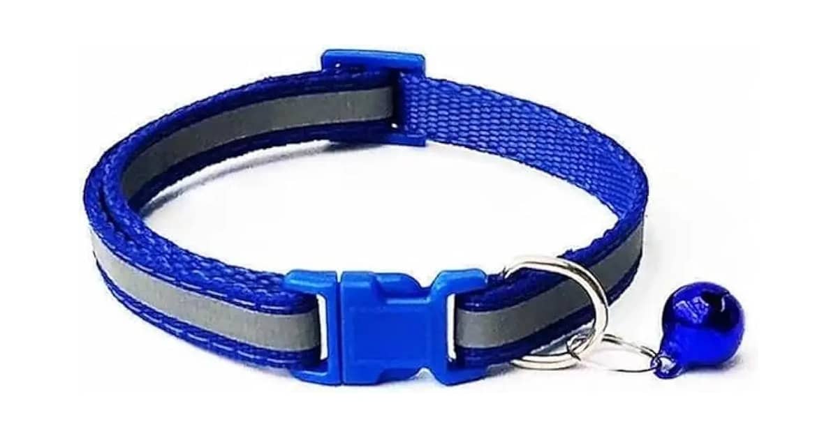 Qual Melhor Coleira Para Cachorro Com Refletor?