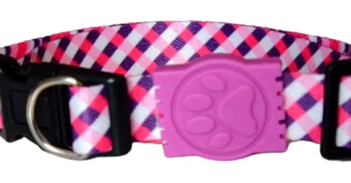 Qual Melhor Coleira Para Cachorro: Peitoral ou Pescoço?