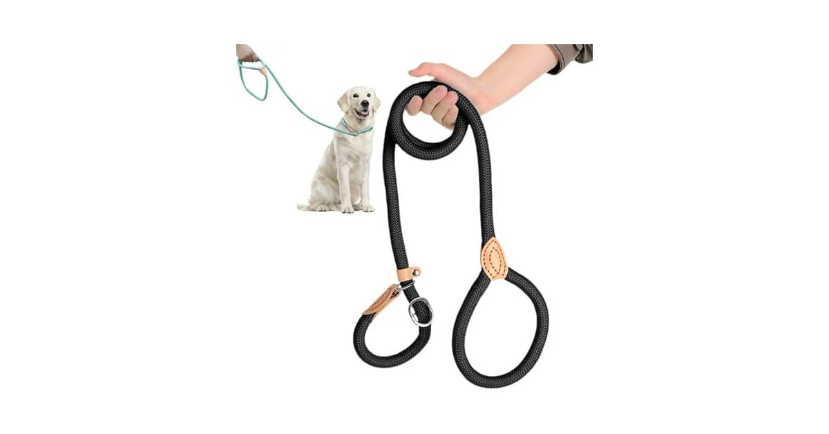 Qual Melhor Coleira para Passeio com Guia Unificada?