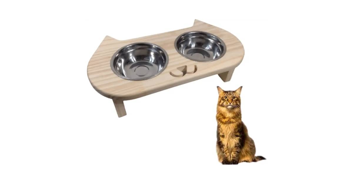 Qual Melhor Comedouro Elevado para Gato: O Guia