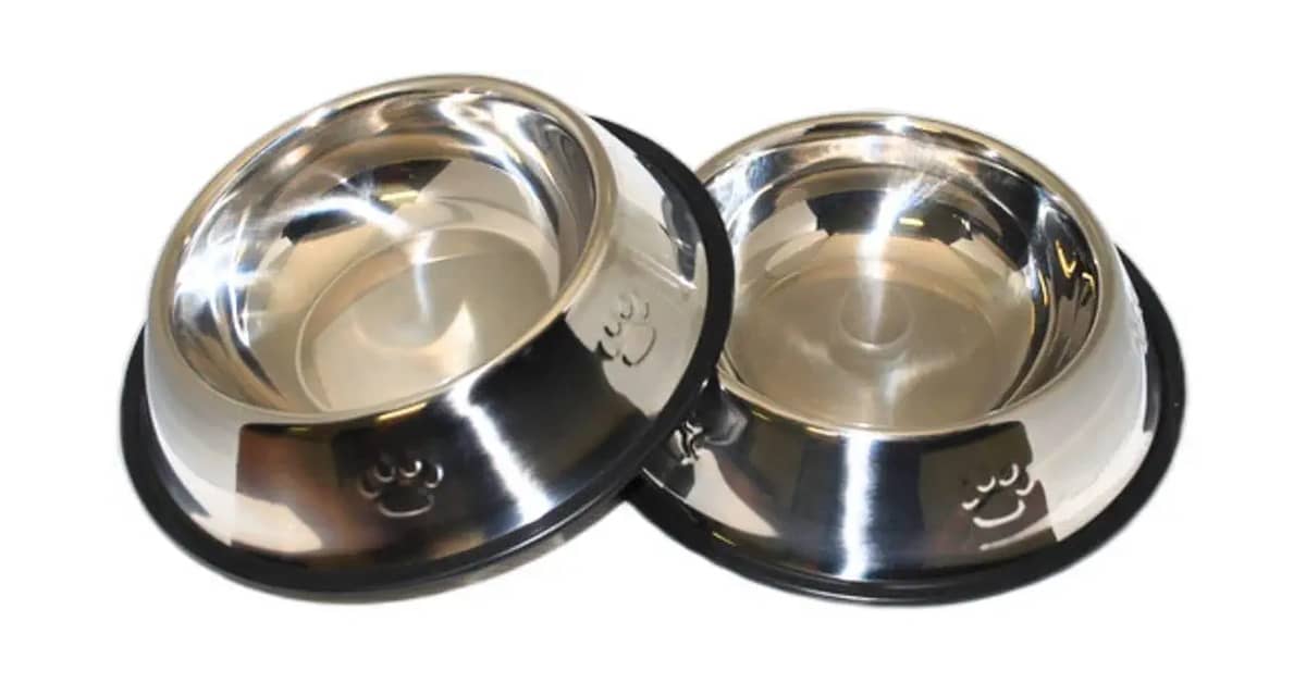 Qual Melhor Comedouro para Cachorro por Porte?