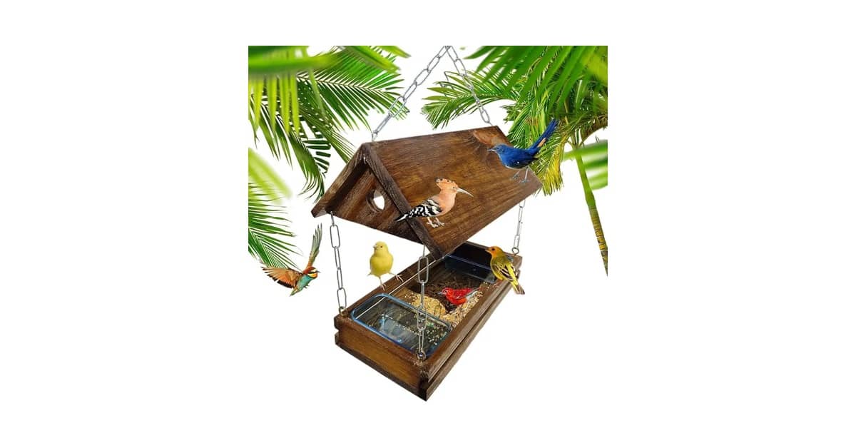 Qual Melhor Comedouro Para Pássaros? Guia de Tipos