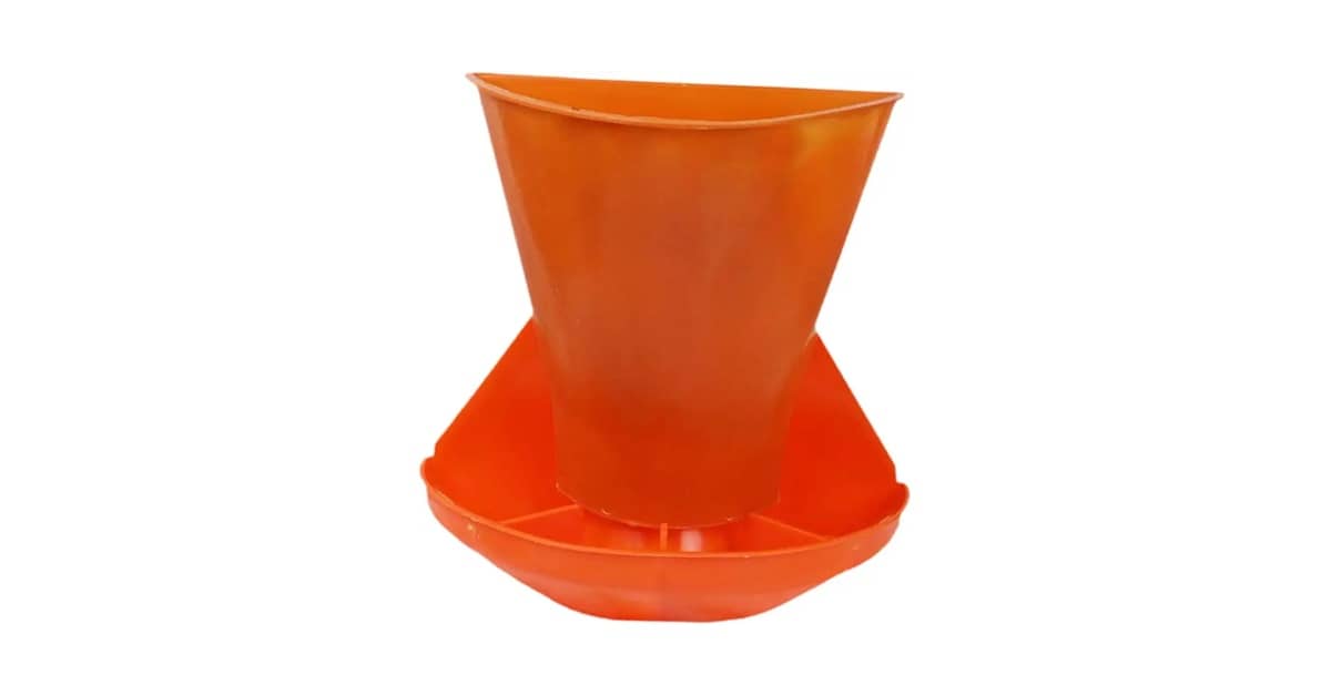 Qual Melhor Comedouro Para Porco? Do Leitão ao Adulto