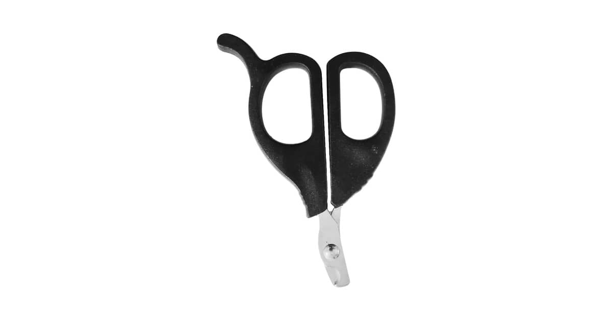 Qual Melhor Cortador de Unha Para Gato: Guia de Tipos