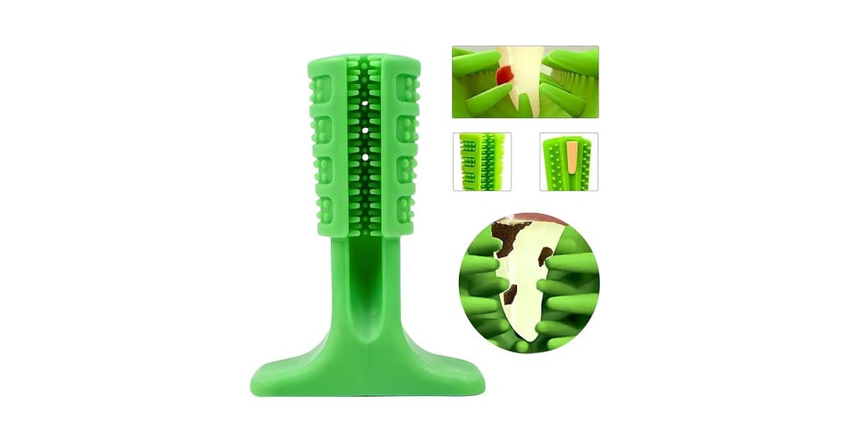 Qual Melhor Escova de Dente Para Cachorro de Porte Pequeno? Guia Completo