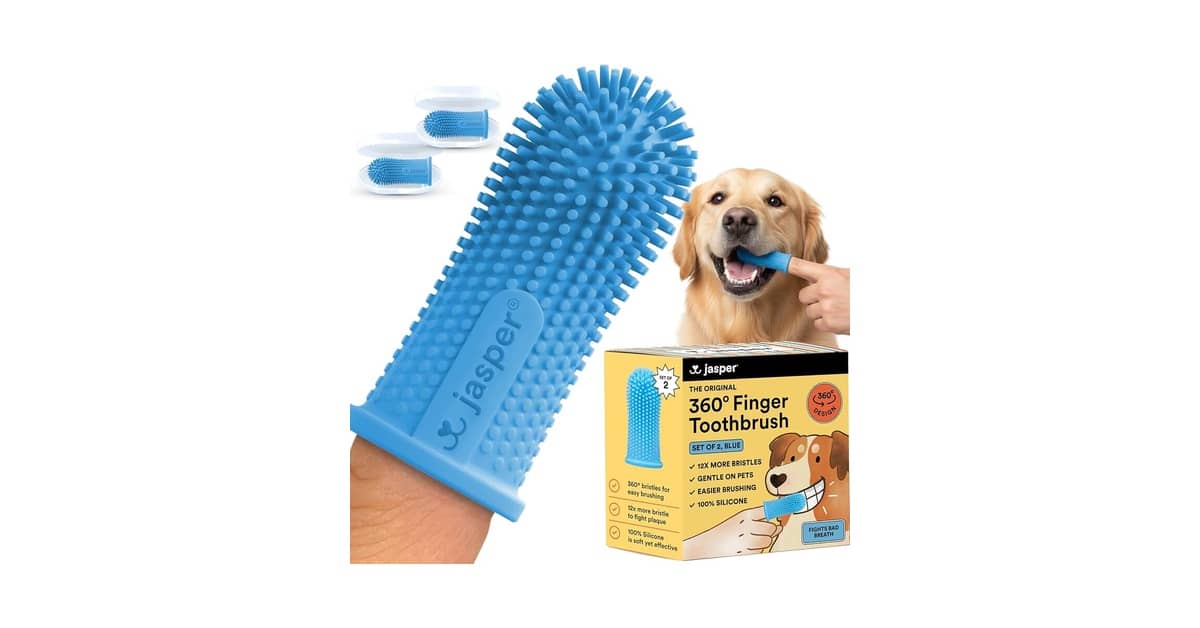 Qual Melhor Escova de Dentes para Cães Grandes? Guia