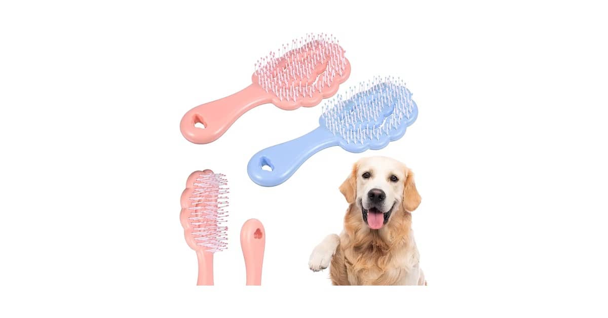 Qual Melhor Escova Para Cães de Pelo Curto? Guia de Tipos e Funções
