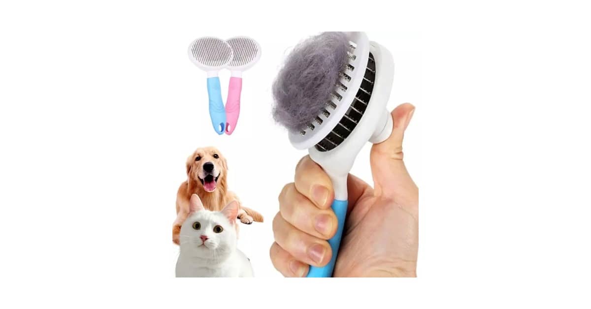 Qual Melhor Escova Para Cães de Pelo Longo e Fino? O Guia Anti-Nós
