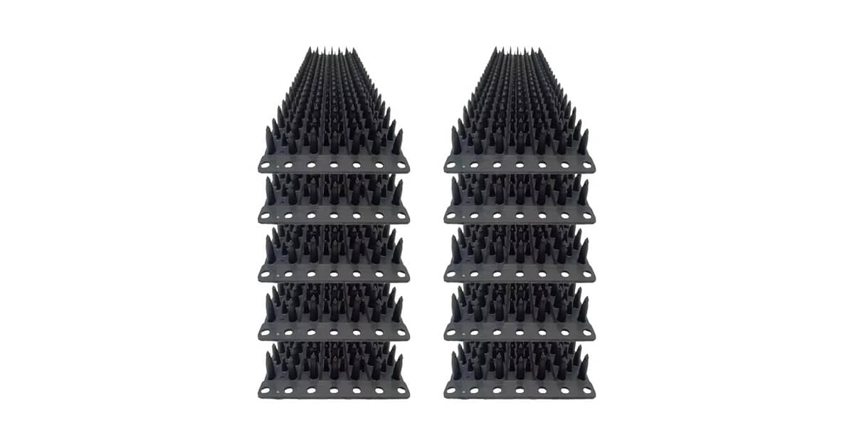 Qual Melhor Espanta Pombos? Gel, Espícula ou Som?