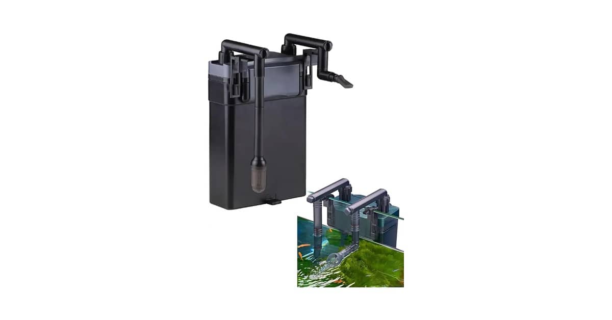 Qual Melhor Filtro Para Aquário de Tartaruga? Guia