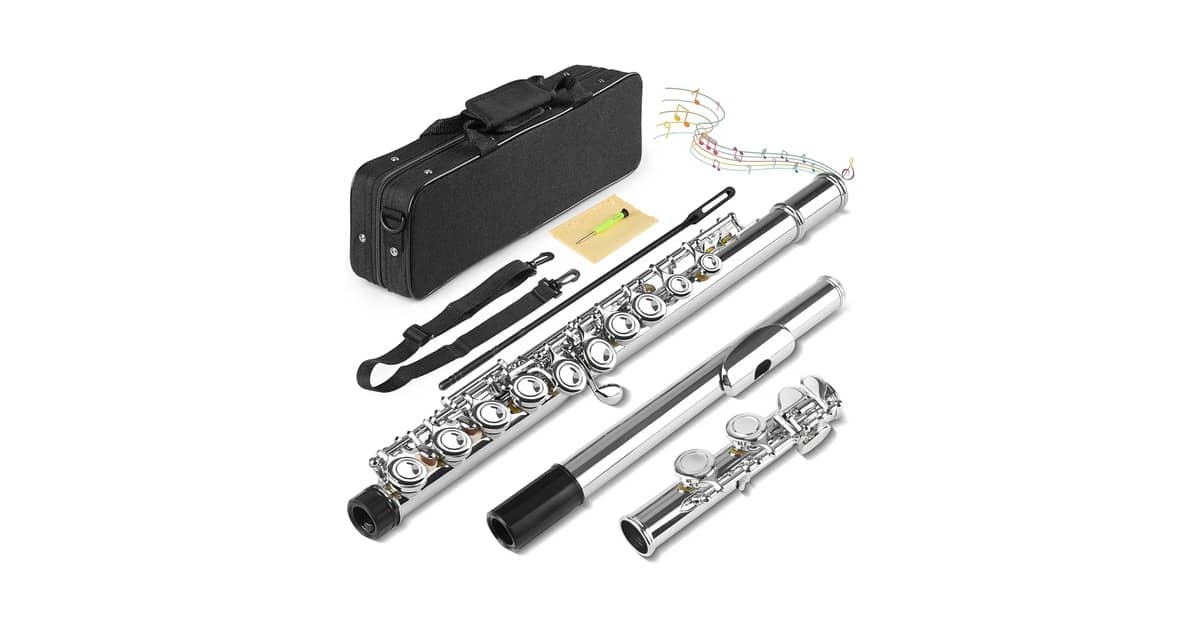 Qual Melhor Flauta Transversal Para Aprender a Tocar