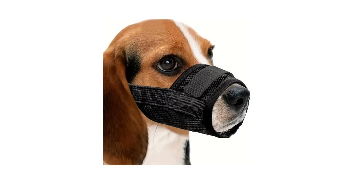 Qual Melhor Focinheira para Cachorro: Guia Completo