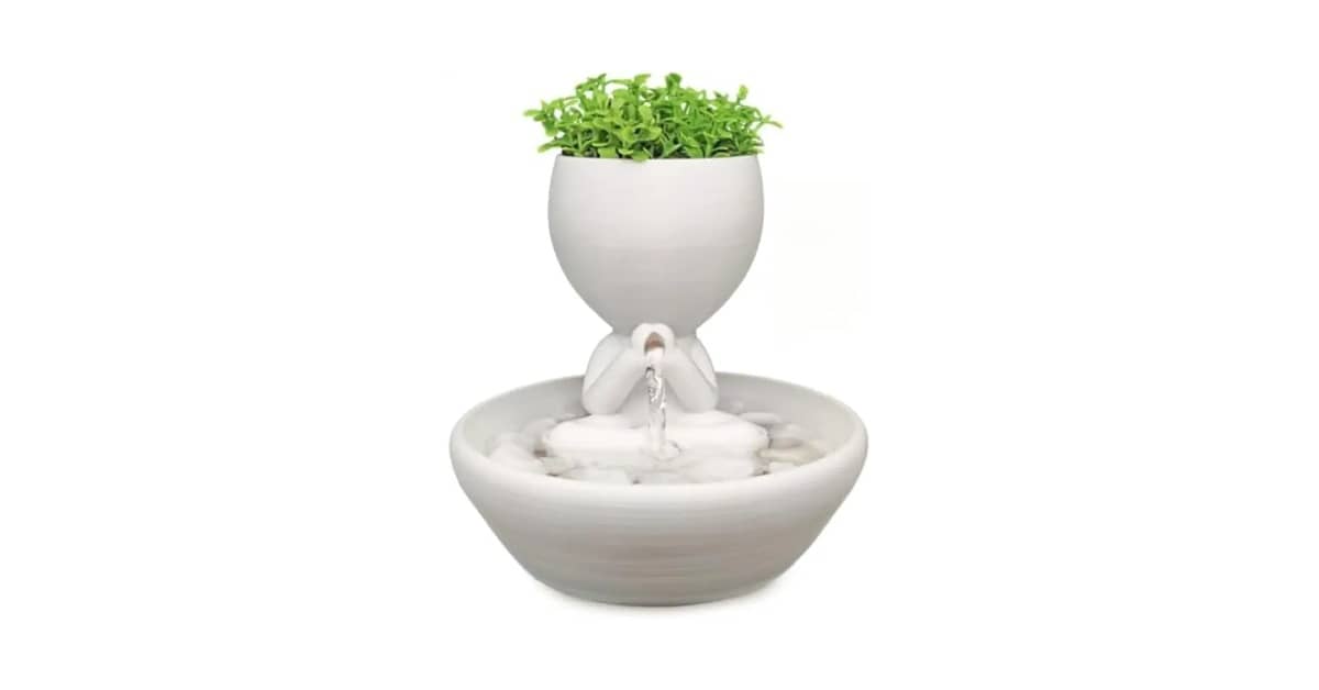 Qual Melhor Fonte Para Gatos Com Cascata: 10 Opções