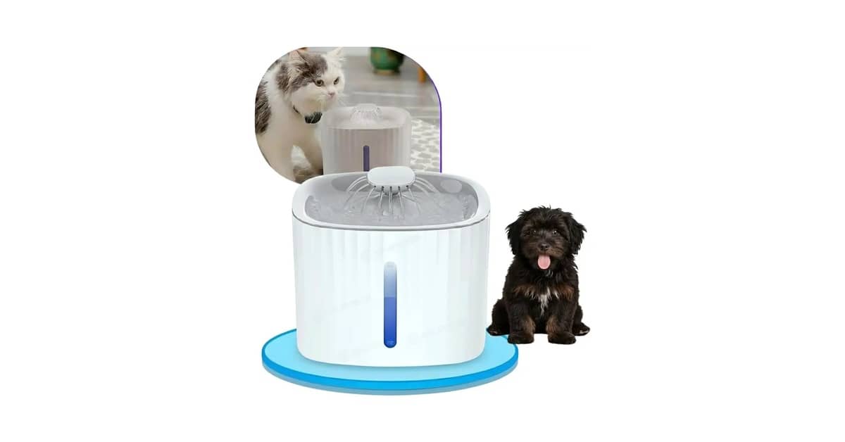 Qual Melhor Fonte Para Gatos com Filtro: Análise de 10