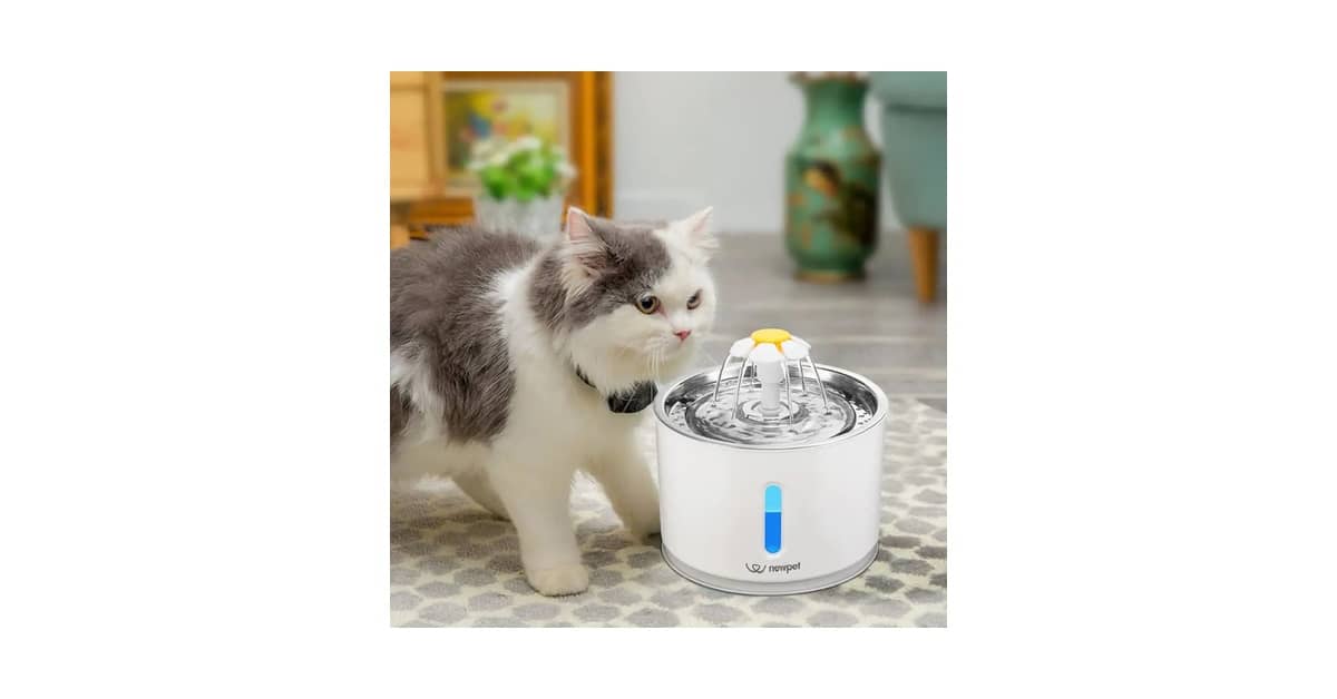 Qual Melhor Fonte para Gatos Com Filtro e Bomba Silenciosa? Guia de Compra