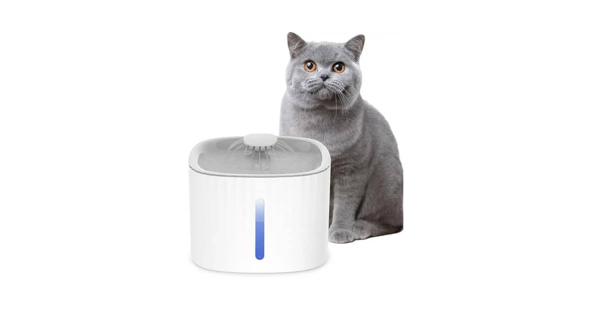Qual Melhor Fonte Para Gatos com Filtro e Luz Noturna: Modelos com LED