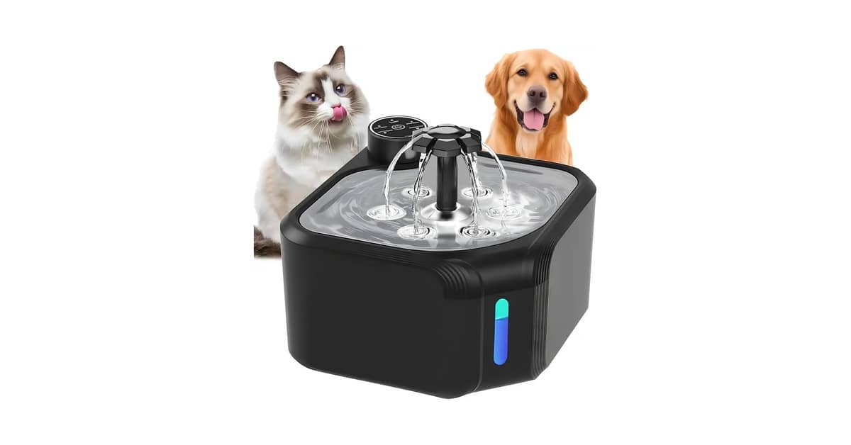 Qual Melhor Fonte Para Gatos com Sensor de Presença: 8 Modelos
