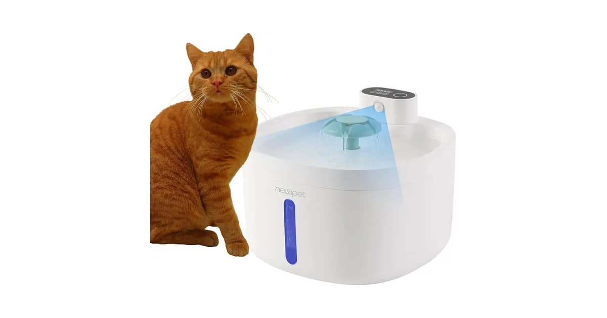 Qual Melhor Fonte Para Gatos Que Não Precisa de Tomada (Bateria)? 6 Modelos com Sensor