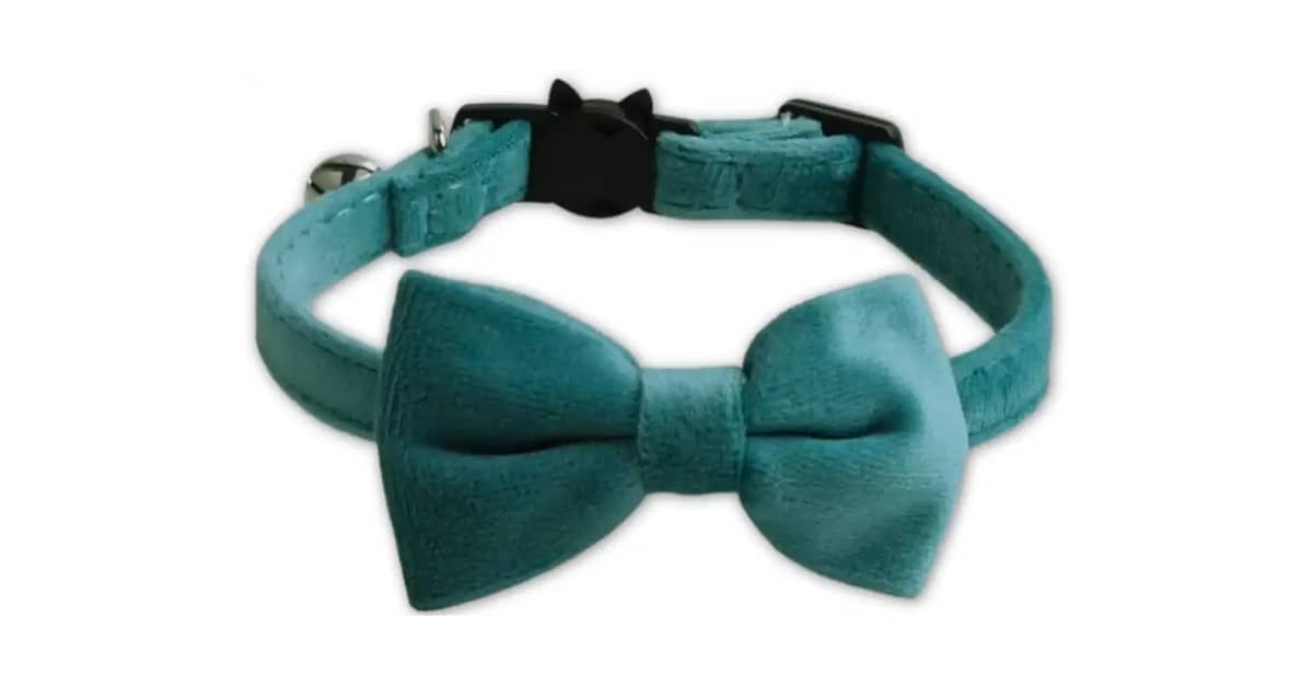 Qual Melhor Gravata Para Pet: Guia de Estilos e Kits