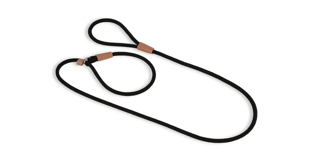 Qual Melhor Guia de Adestramento para Cães? Análise