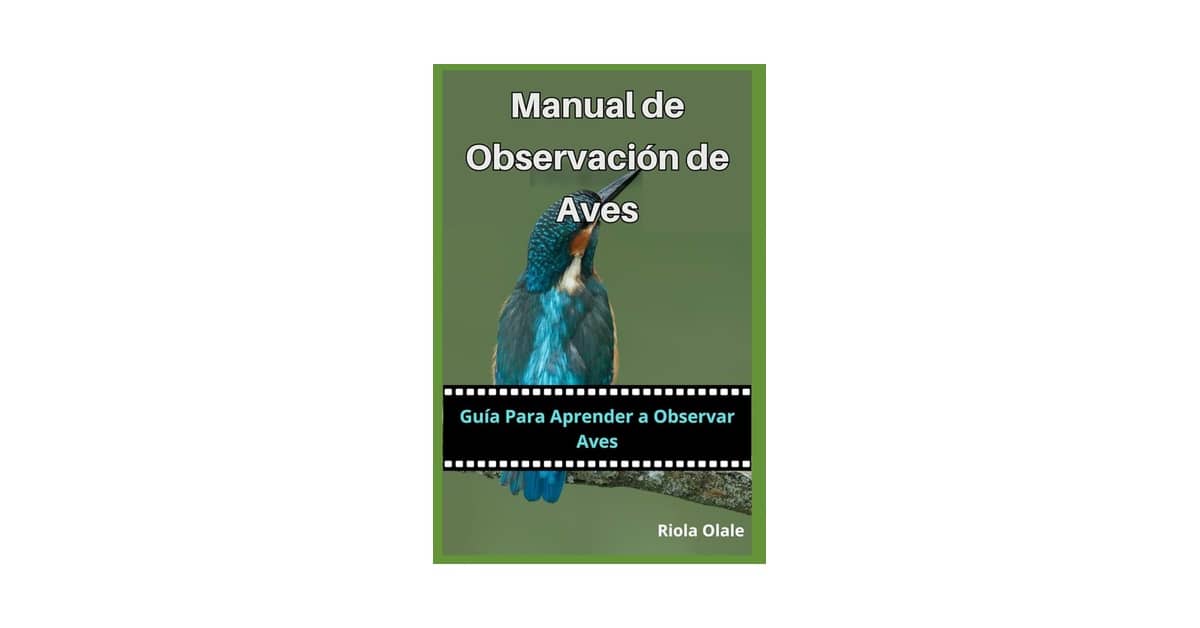 Qual Melhor Guia de Campo Para Identificação de Aves: Nacional ou Regional?