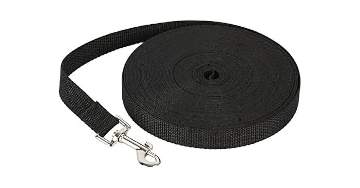 Qual Melhor Guia Longa Para Treinamento de Cães: Nylon ou À Prova D'água?