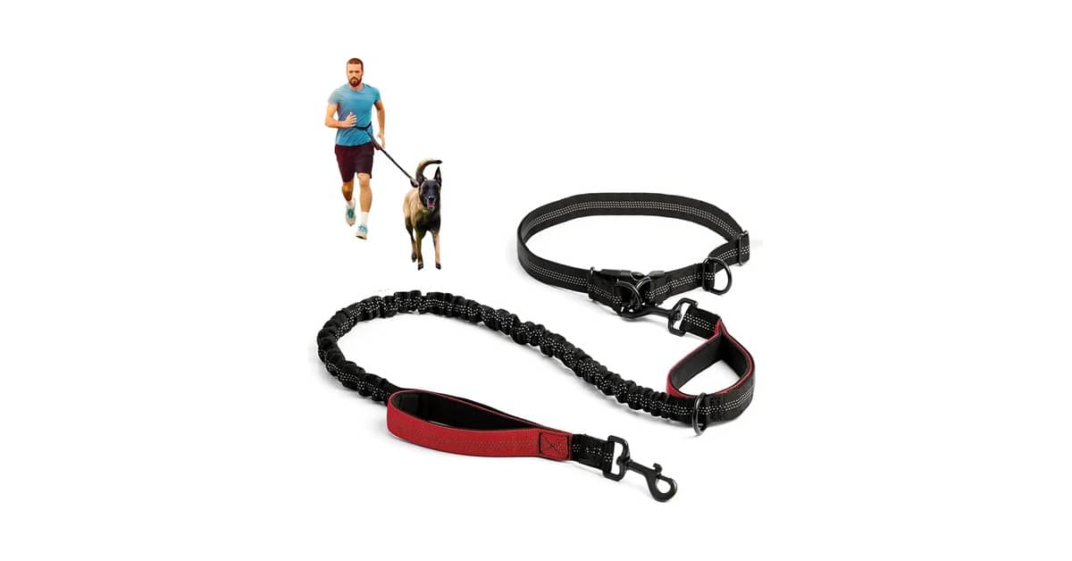 Qual Melhor Guia Para Corrida Com Cachorro? Mãos Livres!