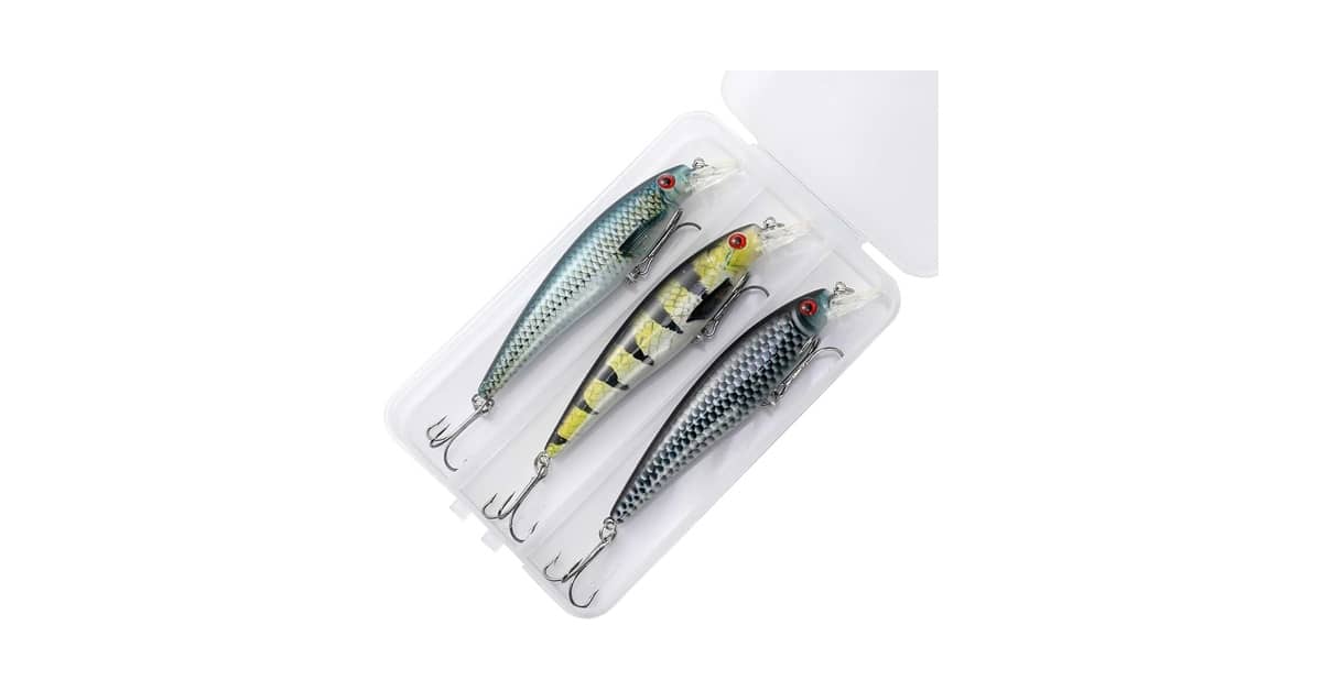 Qual Melhor Isca Artificial Para Cada Tipo de Peixe