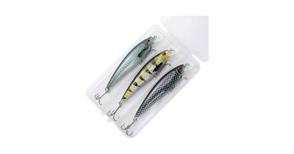 Qual Melhor Isca de Meia Água Para Robalo? 10 Iscas Para Capturas Certeiras