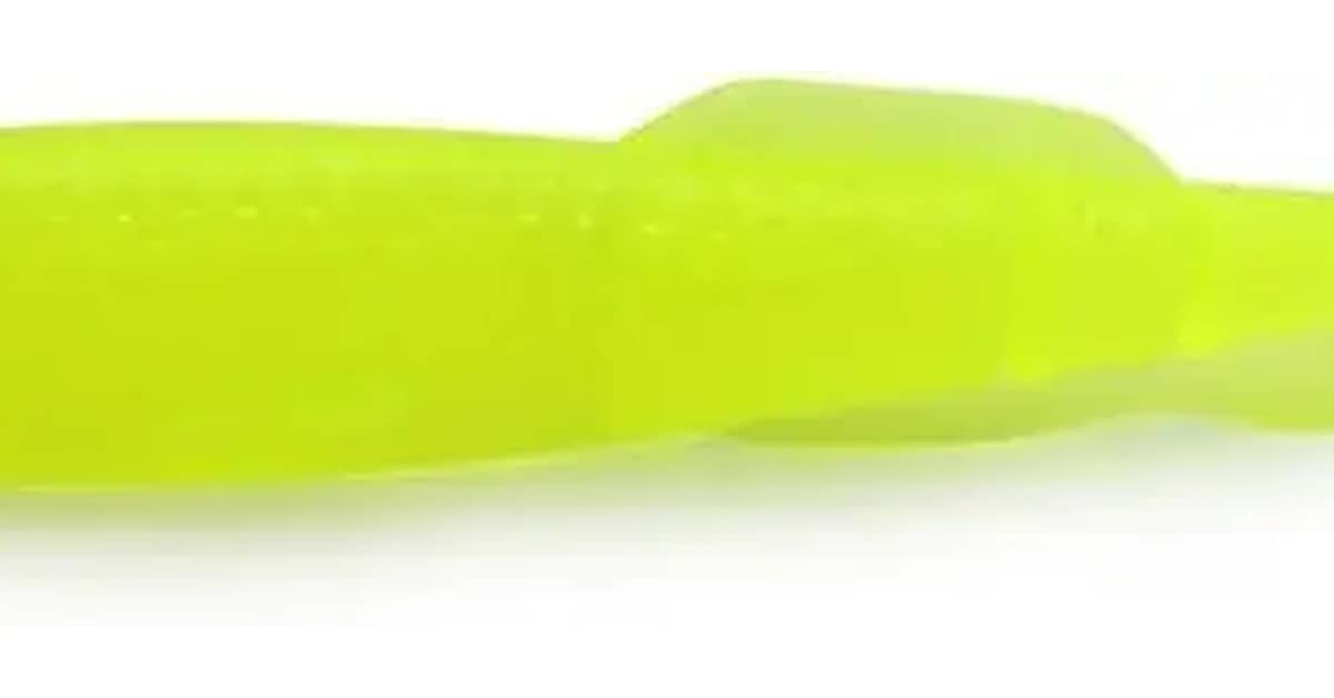 Qual Melhor Isca Soft Para Traíra? 6 Iscas Por Ação