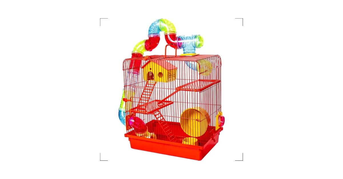 Qual Melhor Labirinto para Hamster? Guia de 10