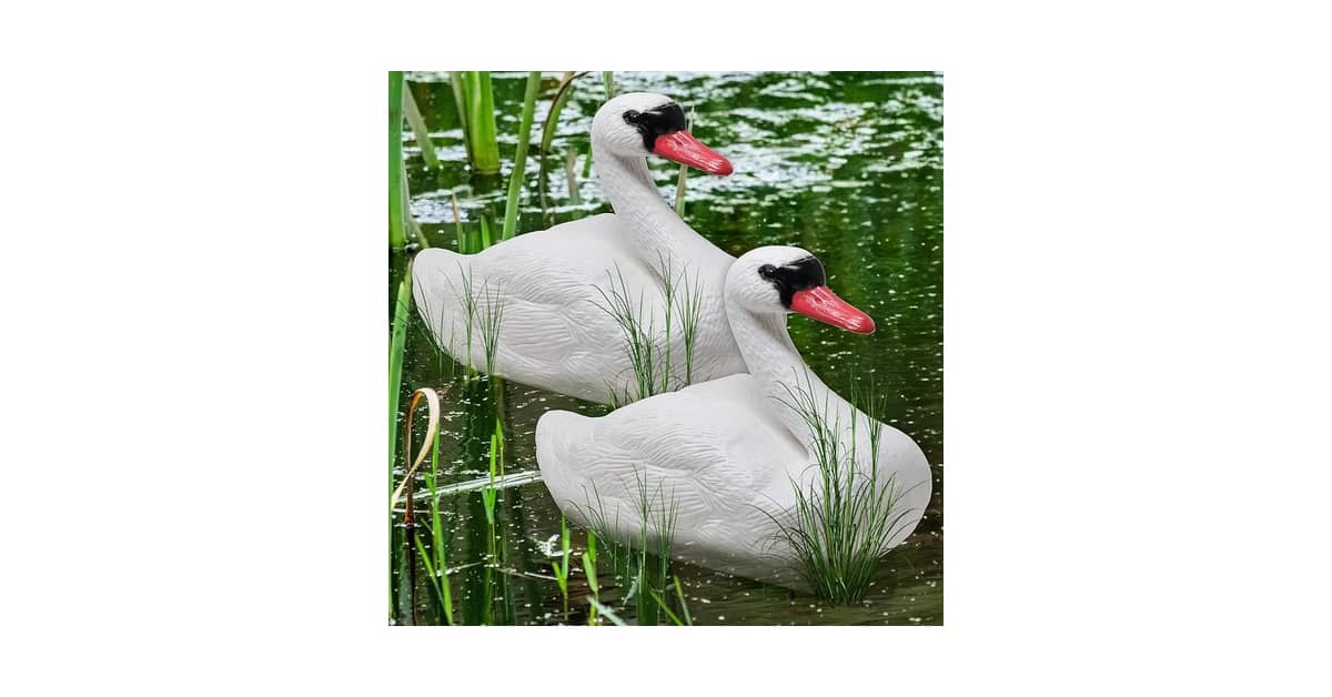 Qual Melhor Lago Para Patos e Gansos: Crie o Seu