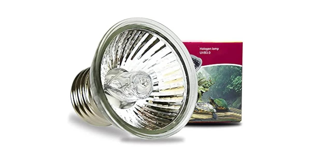 Qual Melhor Lâmpada para Tartaruga: Guia UVA e UVB