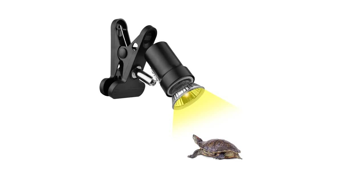Qual Melhor Lâmpada UVB Para Réptil? Guia Completo