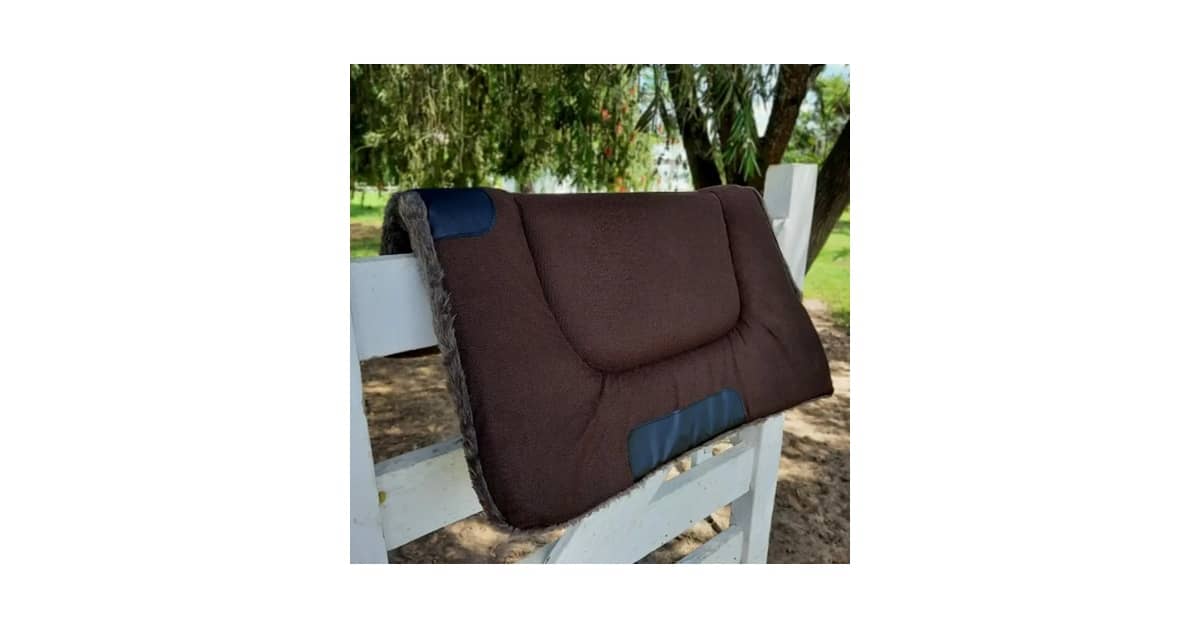 Qual Melhor Manta Para Cavalo Para Absorver Suor? 7 Modelos em Análise