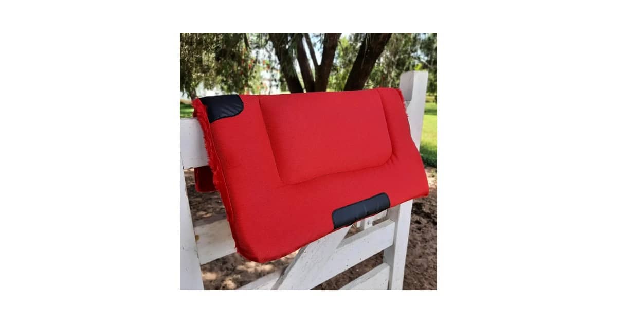 Qual Melhor Manta Para Cavalo: Guia Para Cada Raça