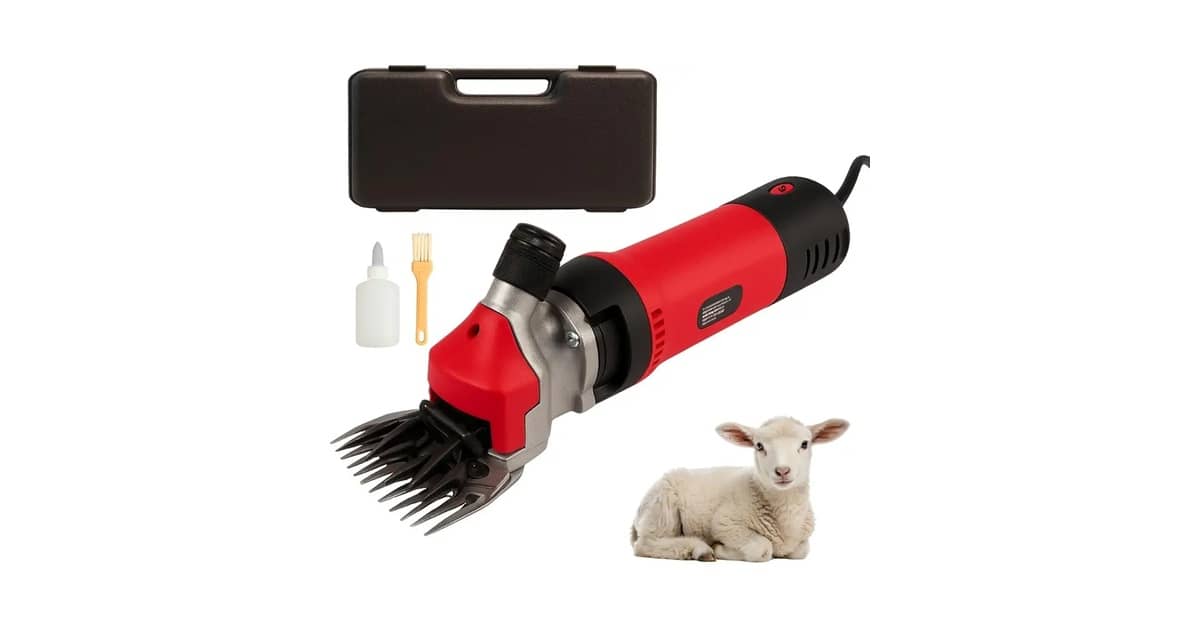Qual Melhor Máquina de Tosquia para Ovelha? Guia!