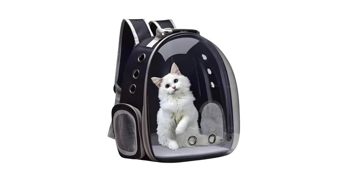 Qual Melhor Mochila Transparente Para Gato Comprar?