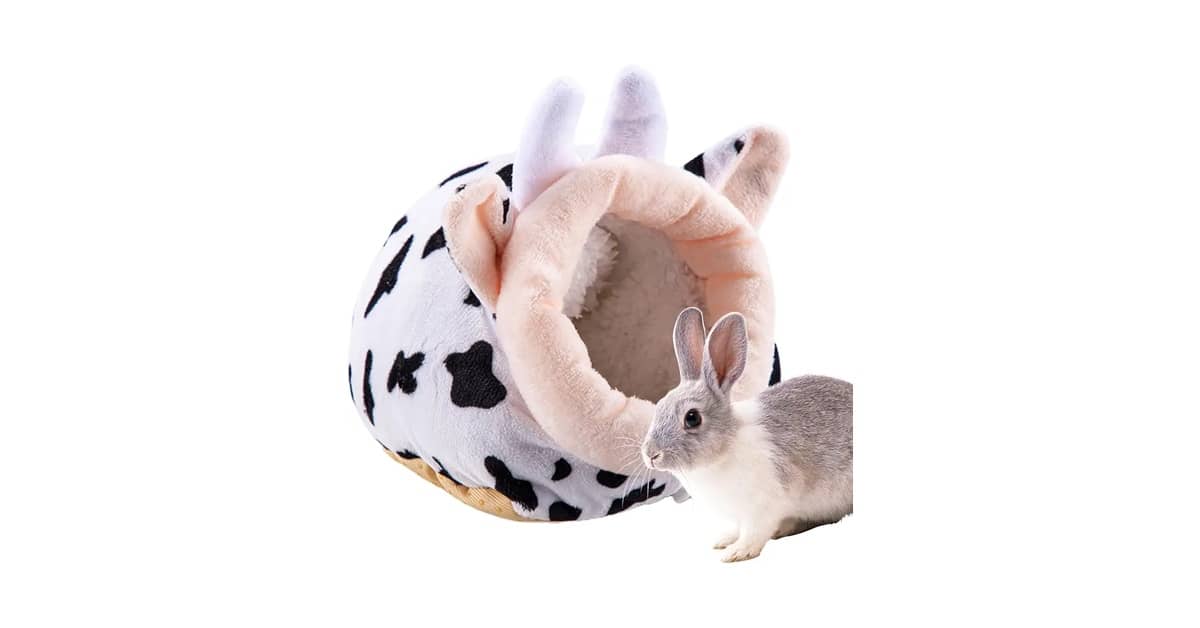 Qual Melhor Ninho de Algodão para Hamster? 10 Opções Seguras e Aconchegantes