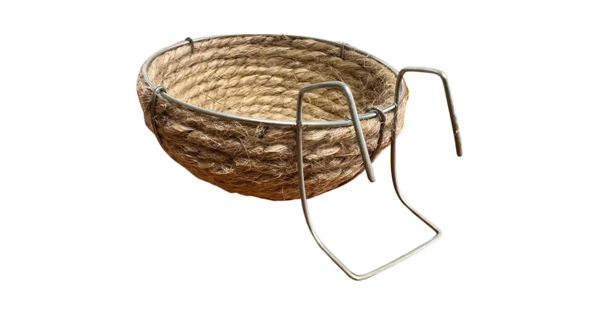 Qual Melhor Ninho Para Galinha? Guia de Ovos Limpos